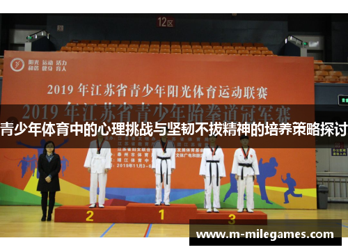 青少年体育中的心理挑战与坚韧不拔精神的培养策略探讨