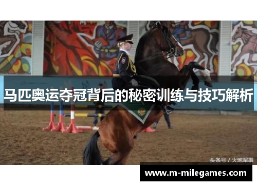 马匹奥运夺冠背后的秘密训练与技巧解析